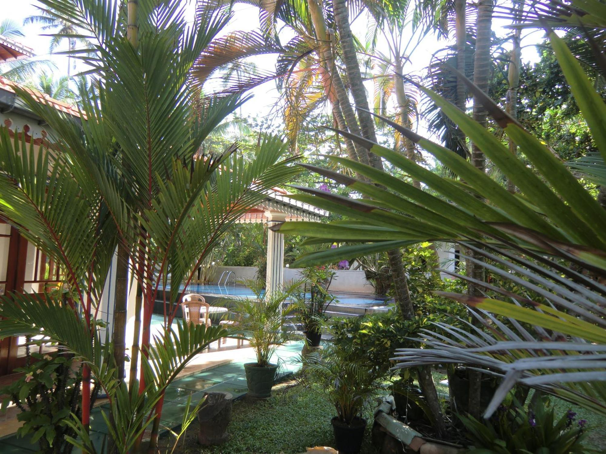 The Oasis Villa Hikkaduwa Exteriér fotografie